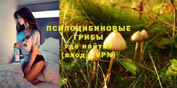 ПСИЛОЦИБИНОВЫЕ ГРИБЫ Балахна