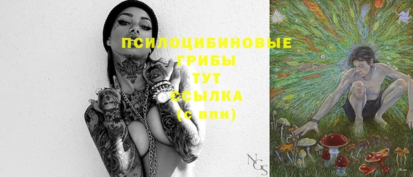 ПСИЛОЦИБИНОВЫЕ ГРИБЫ Балахна