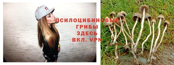 винт Аркадак