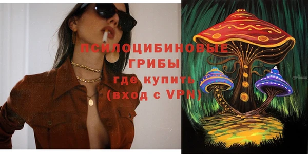 ПСИЛОЦИБИНОВЫЕ ГРИБЫ Балахна
