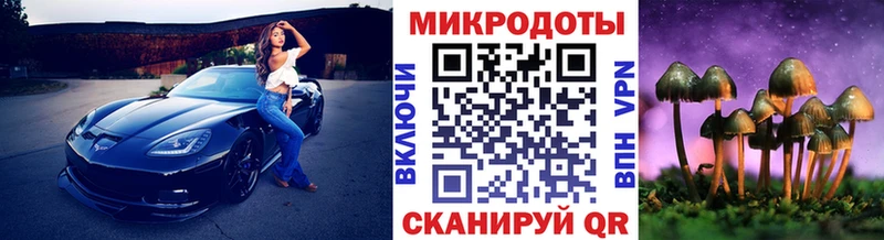 Купить закладки  Пошехонье  Псилоцибиновые грибы ЛСД 