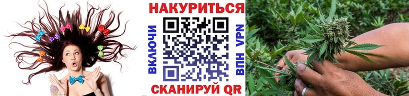 Купить закладки  Пошехонье  Шишки марихуана планчик 